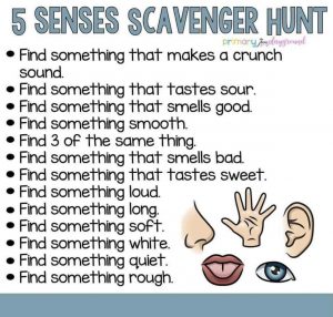 5 Senses Scavenger Hunt