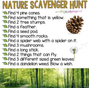Nature Scavenger Hunt 