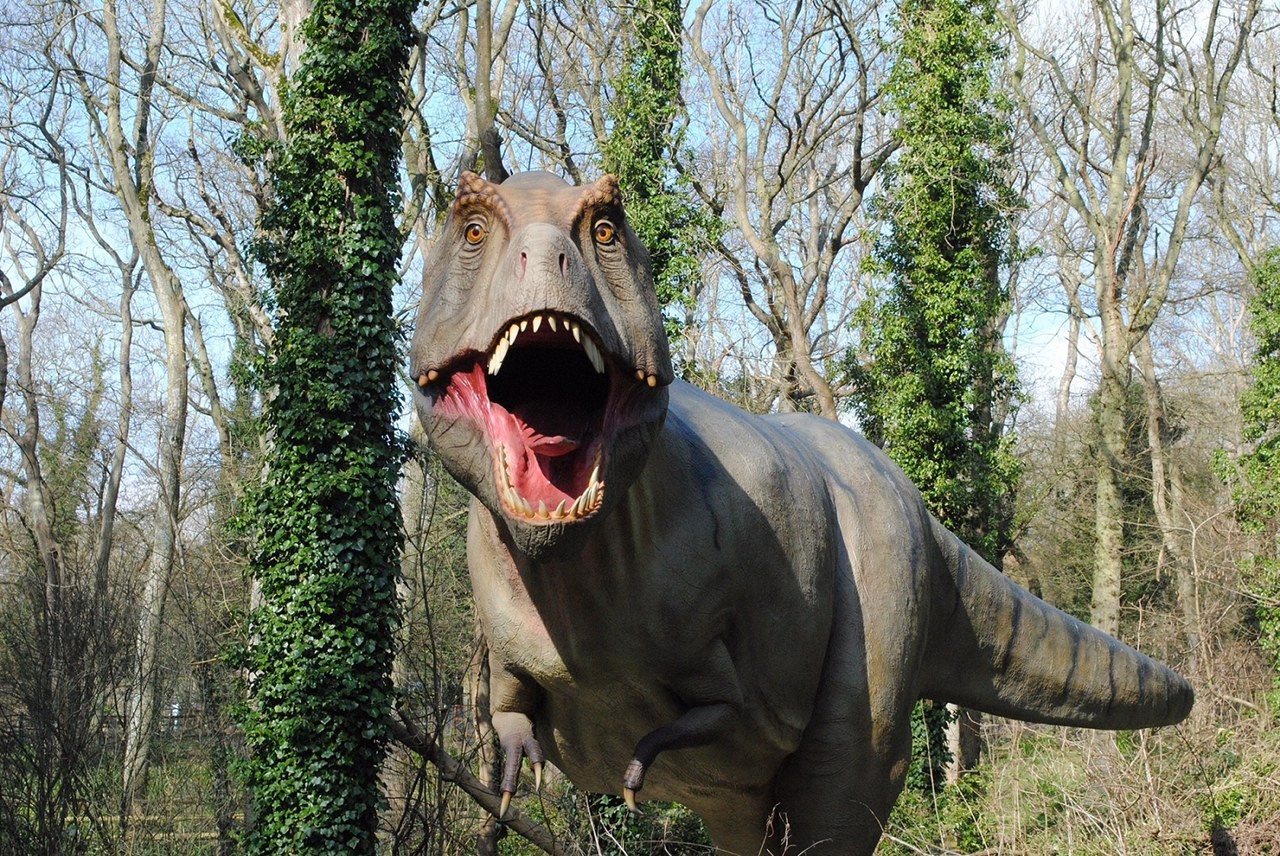 T Rex at the Dinosaur Forest, Port Lympne