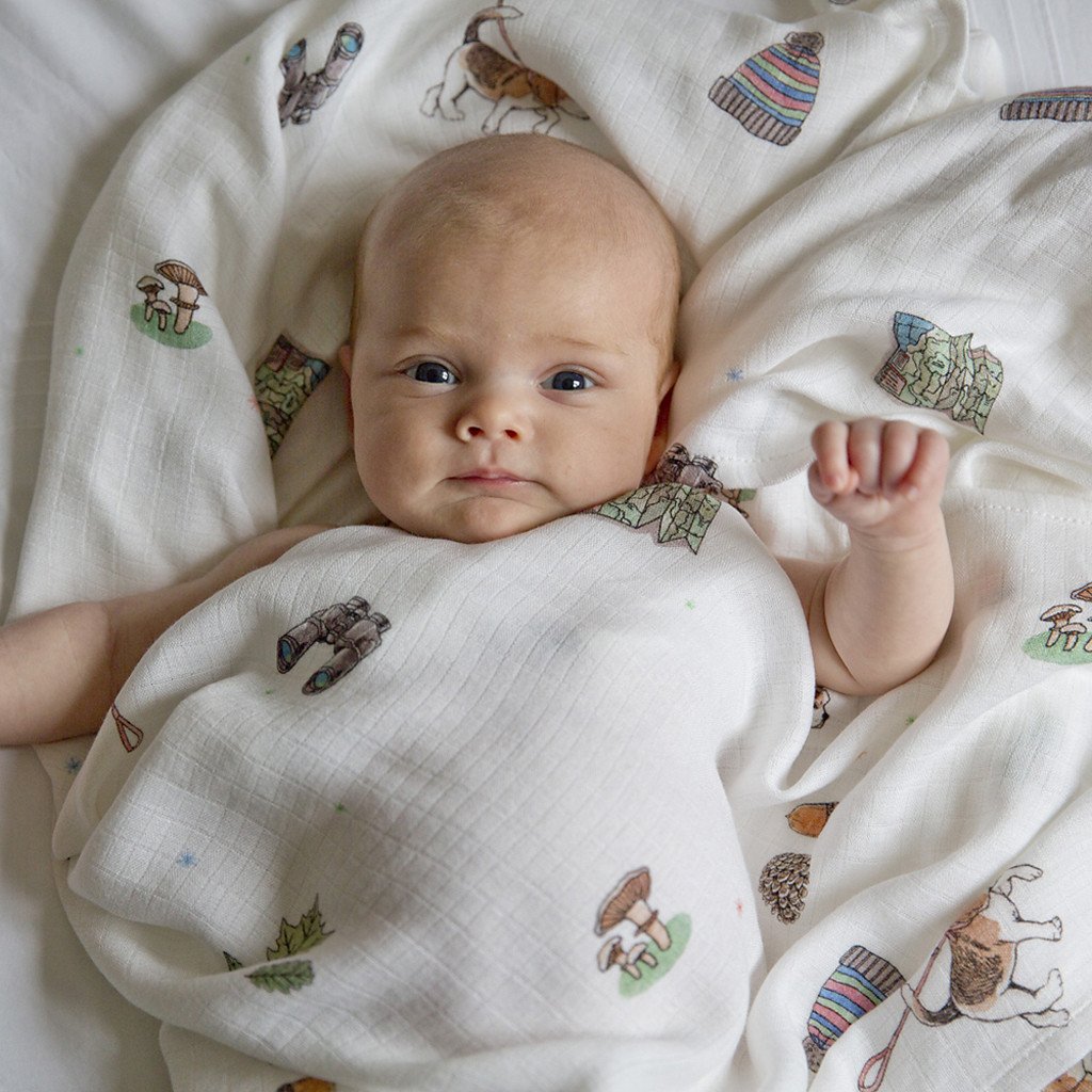 Baby in swaddle blanket