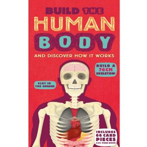 Build the human body