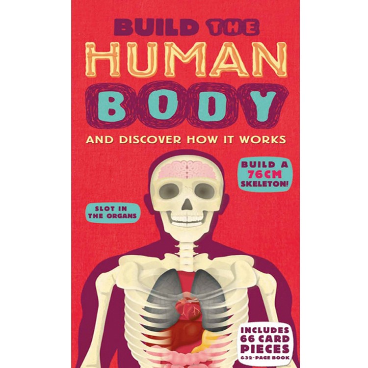 Build the human body 