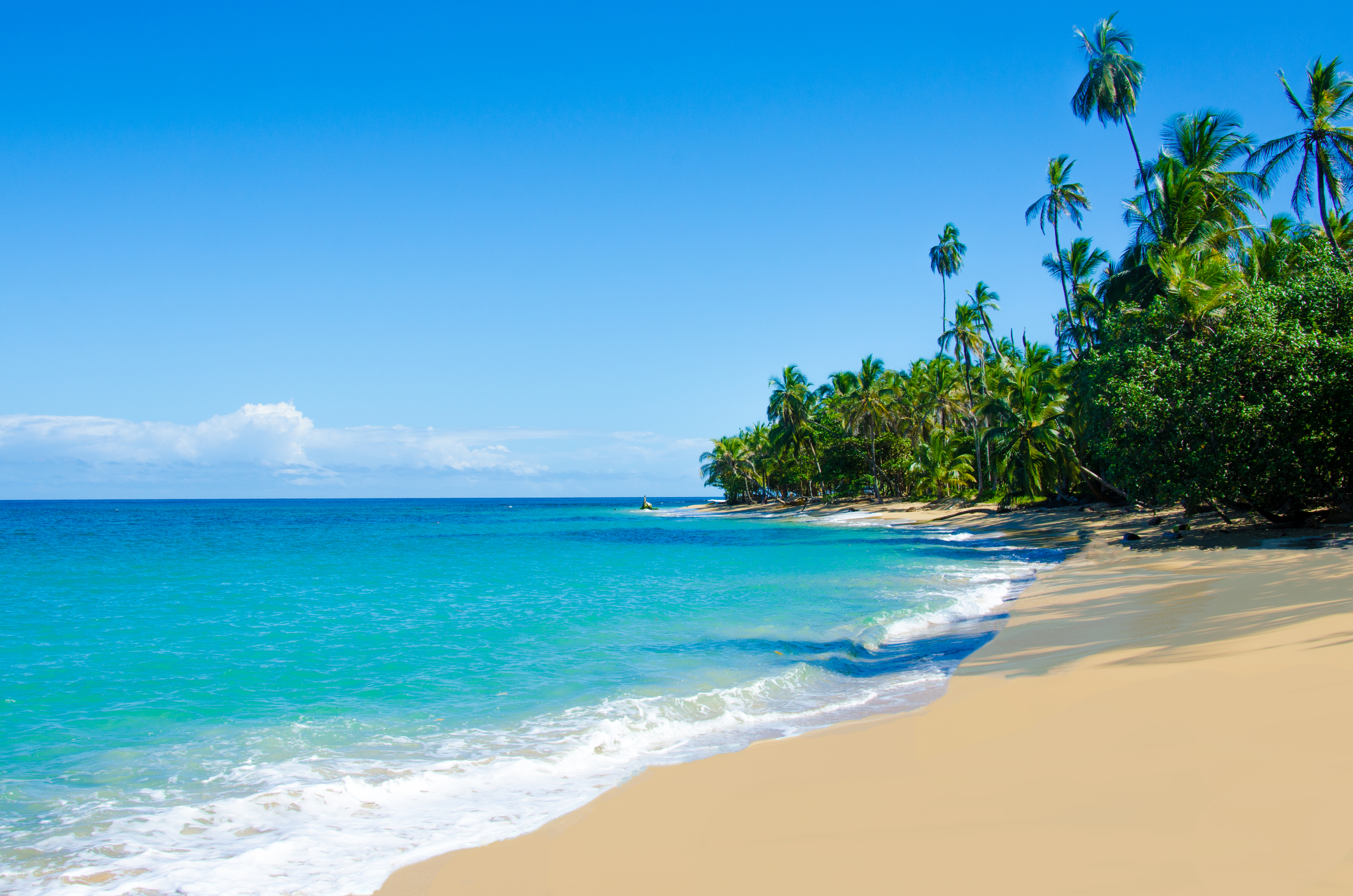 wild-beach-chiquita-and-cocles-in-costa-rica